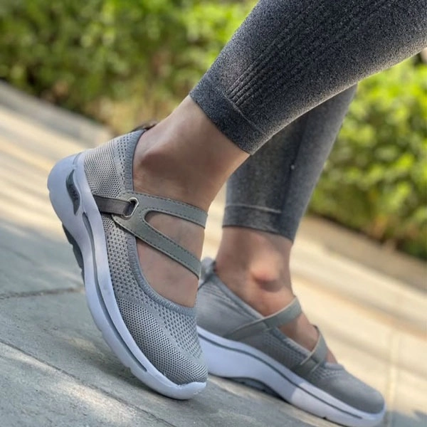 گالری تصویر 1